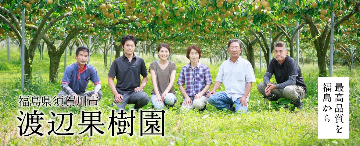 福島県渡辺果樹園の和梨